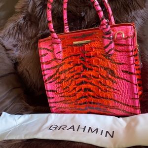 COPY - New feline ombré Brahmin Bag